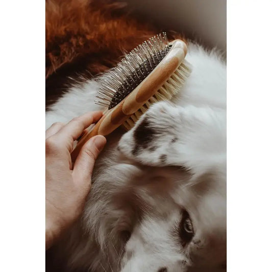 dog brush - two-sided bamboo - sisal bristles/wire brush by zefiro