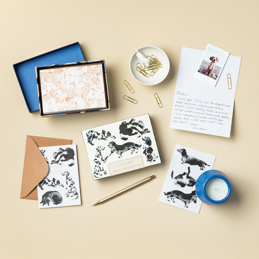boxed notecards - dog-themed - set of 12 by compendium
