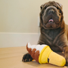 dog plush toy - snack attack by p.l.a.y.