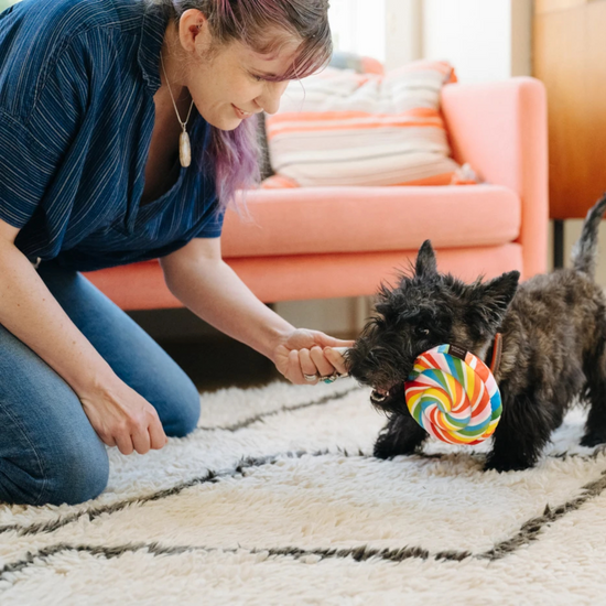 dog plush toy - snack attack by p.l.a.y.