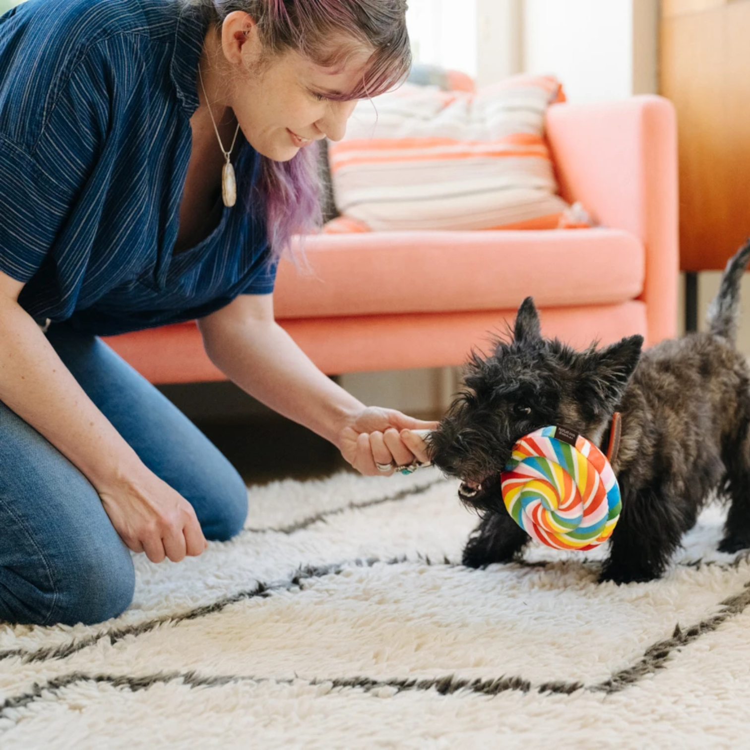 dog plush toy - snack attack by p.l.a.y.