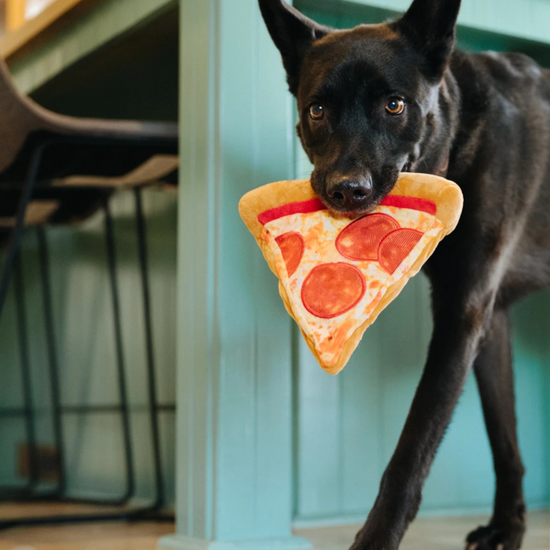 dog plush toy - snack attack by p.l.a.y.