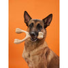 dog bone - hard durable - venison flavor by betterbone natural dog chews