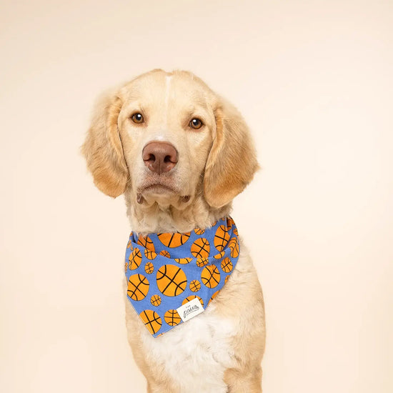 pet bandana - large - dunk basketball by the paws