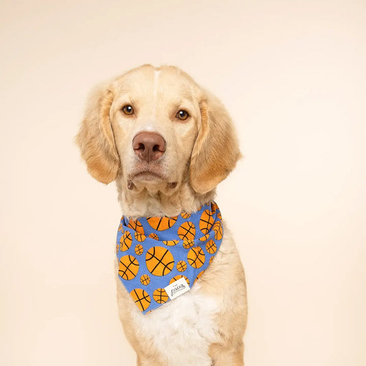 pet bandana - large - dunk basketball by the paws