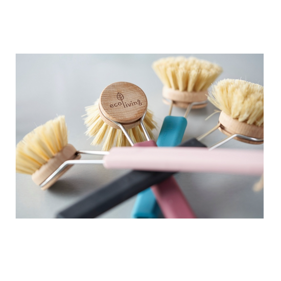 dish brush - colored handle by ecoliving