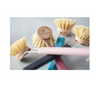 dish brush - colored handle by ecoliving