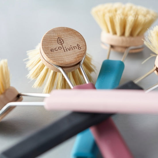 dish brush - colored handle by ecoliving