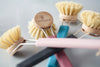 dish brush - colored handle by ecoliving