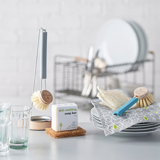 dish brush - colored handle by ecoliving