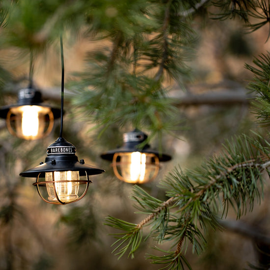 lights - edison string - vintage white - 3-pack by barebones