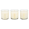 Candle | Votive Trio | Endless Summer