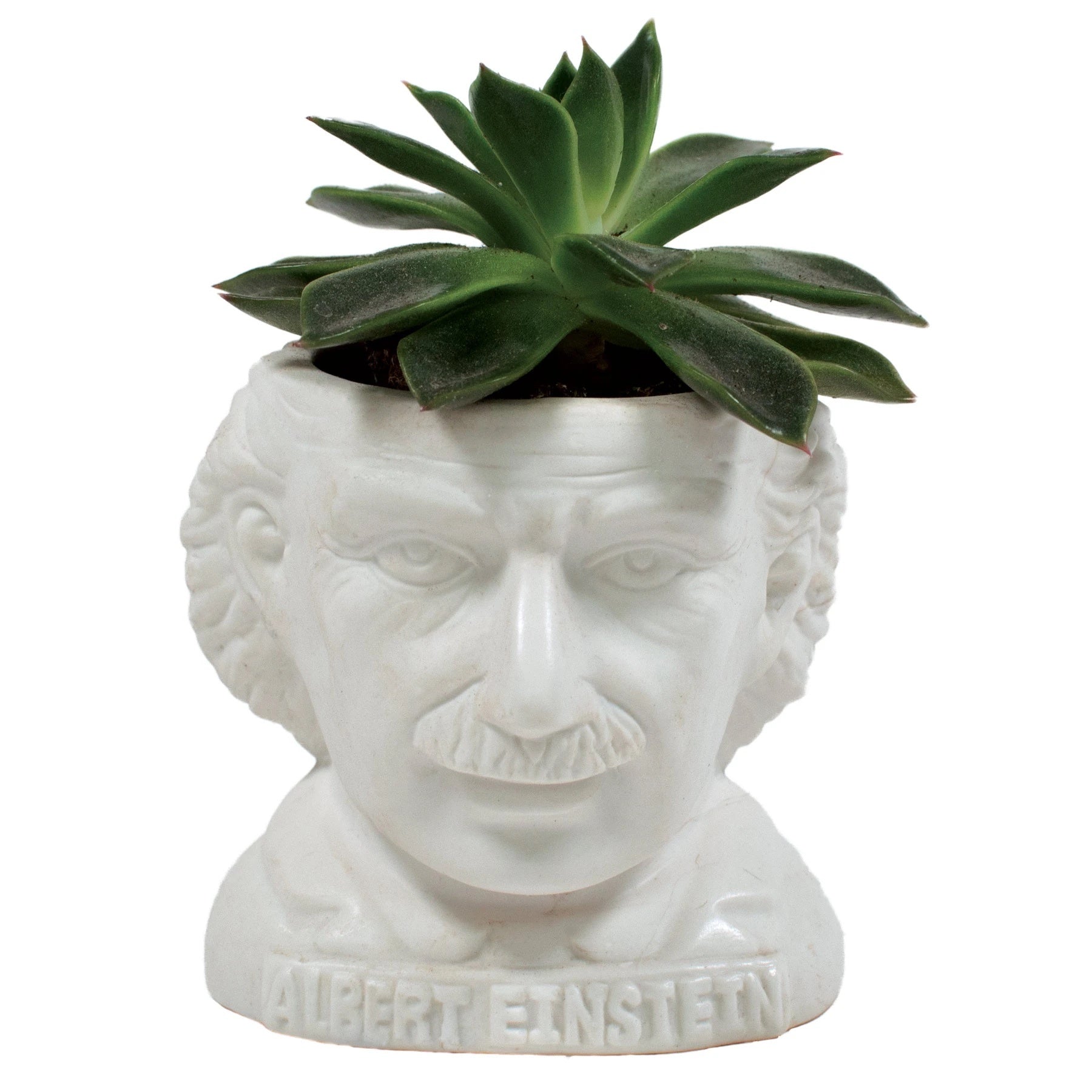 ceramic planter pot - bust figure by unemployed philosophers guild