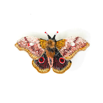 brooch pin - emperor mopane moth by trovelore
