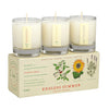 candle - votive trio - endless summer by kobo candles