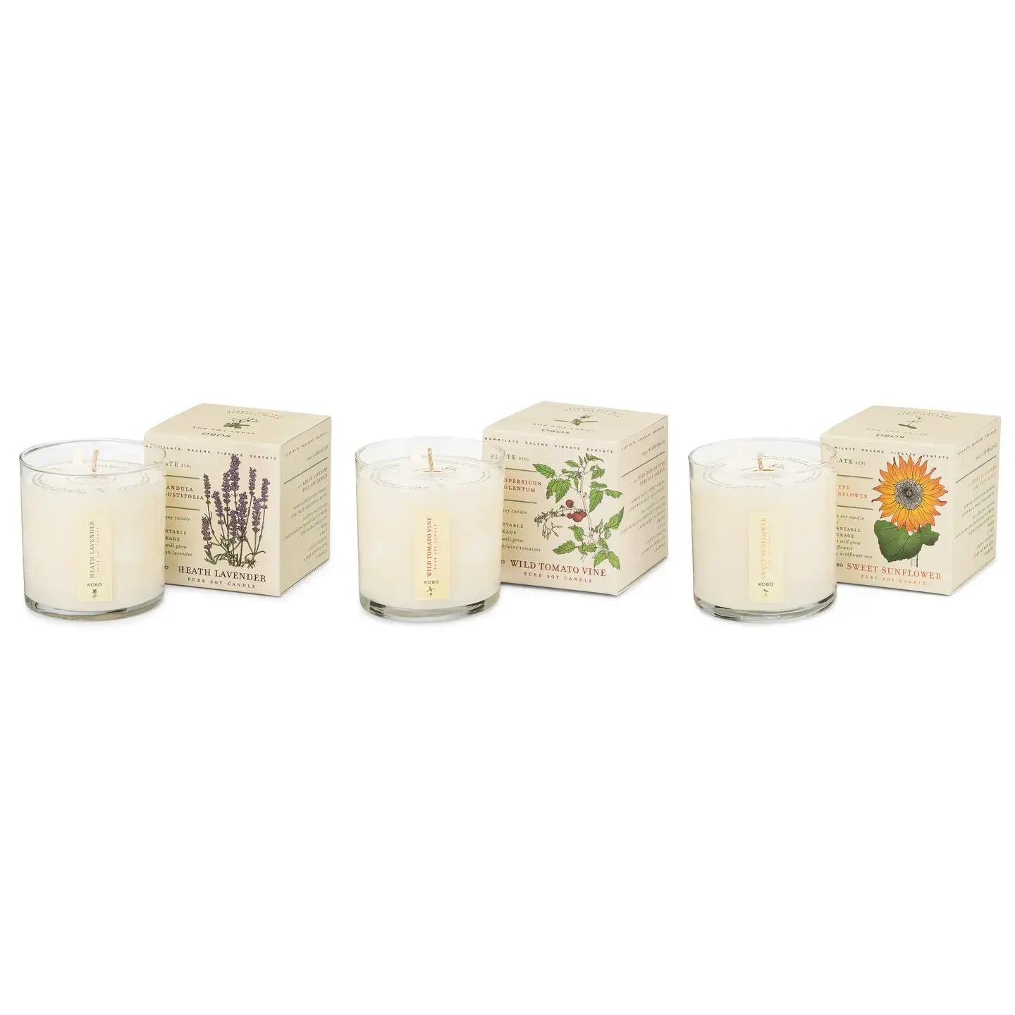 candle - votive trio - endless summer by kobo candles