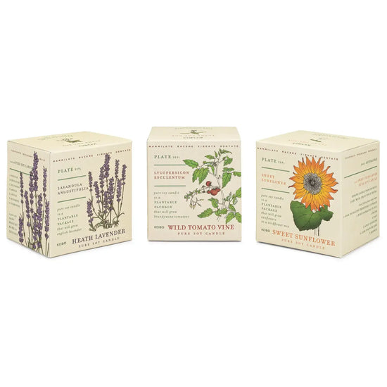 candle - votive trio - endless summer by kobo candles