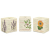 candle - votive trio - endless summer by kobo candles