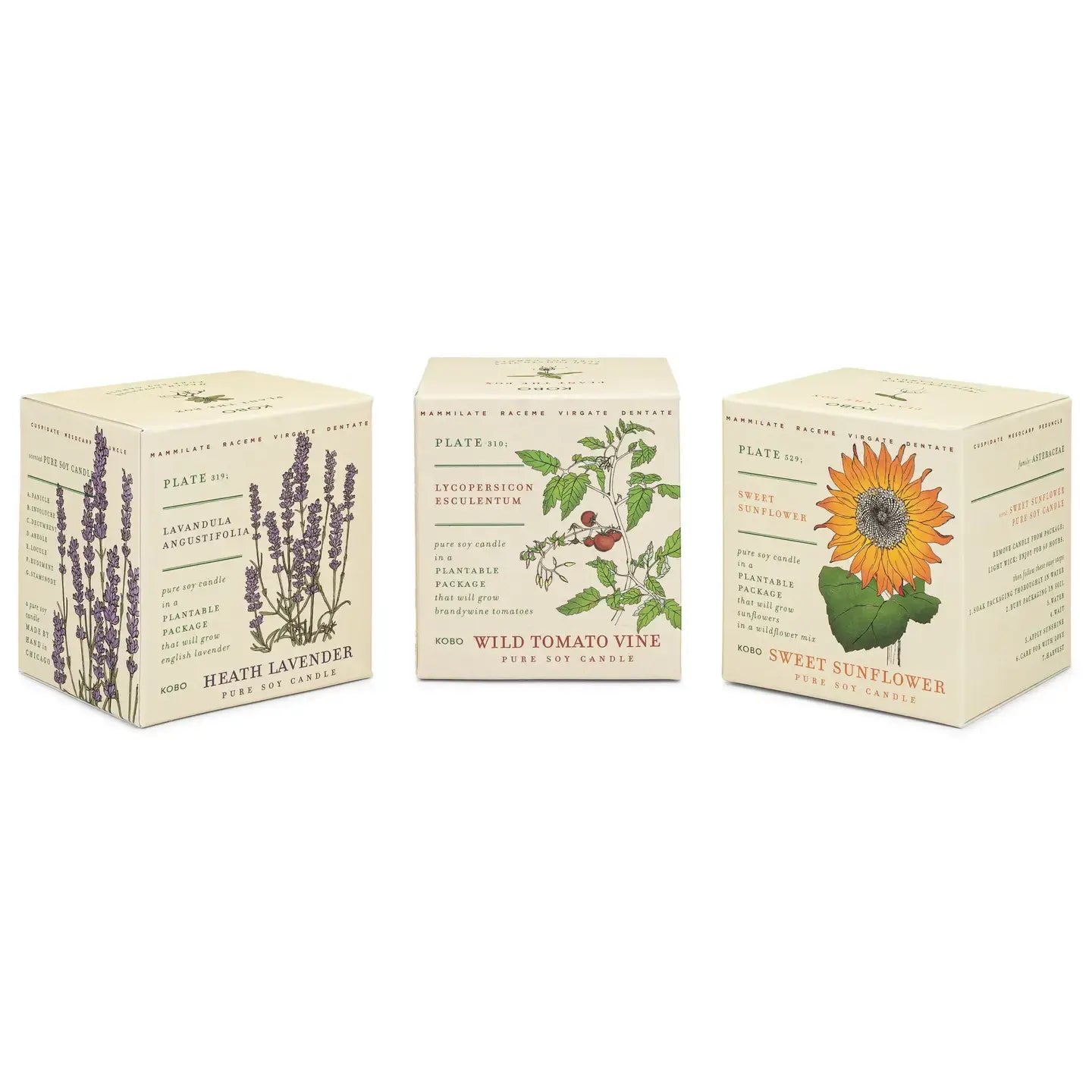 candle - votive trio - endless summer by kobo candles