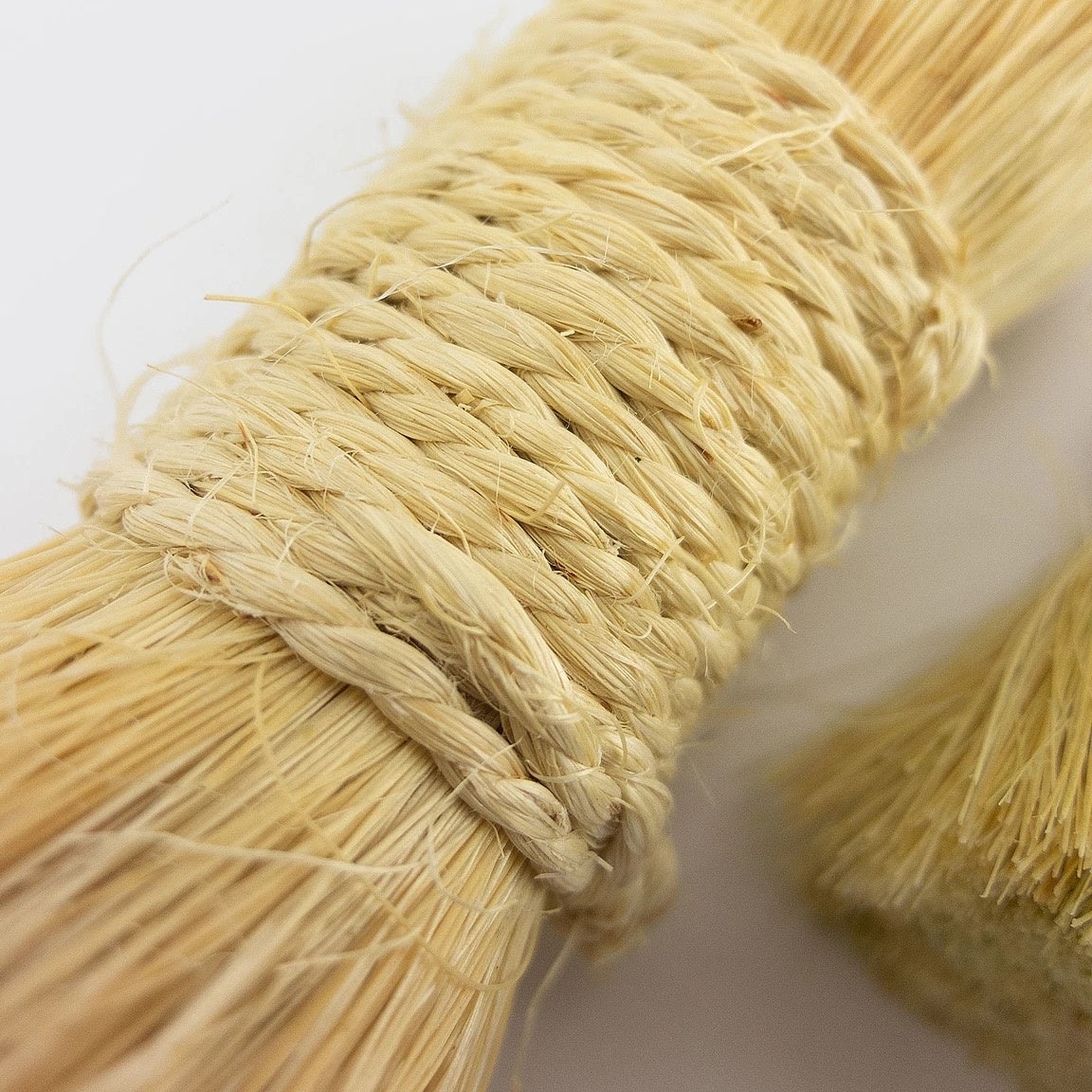 whisk broom - round base - vegetable fiber by utilitario mexicano