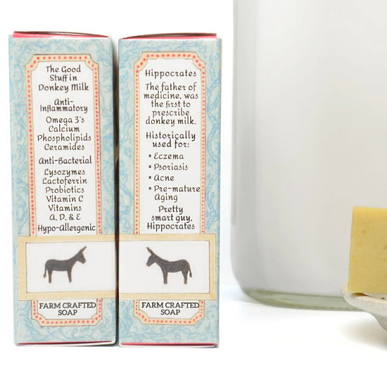 soap - donkey milk - eucalyptus mint moringa by dulce de donke