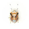 brooch pin - european shield bug by trovelore