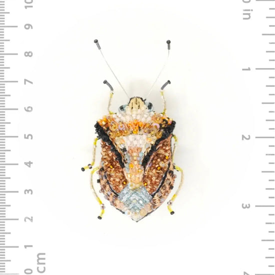 brooch pin - european shield bug by trovelore