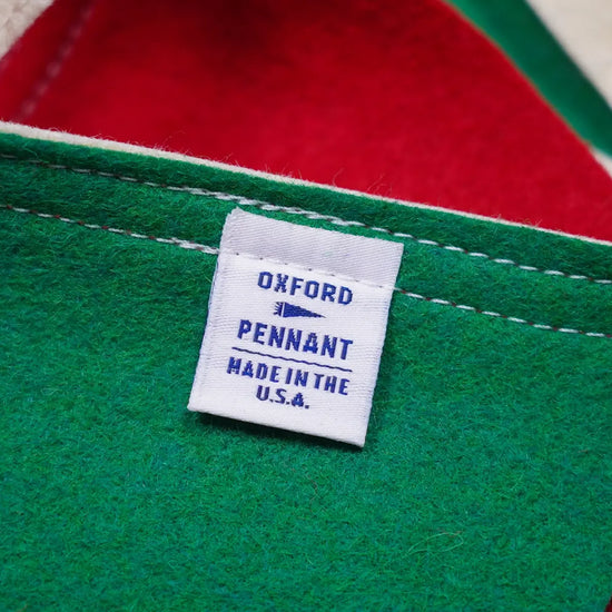 pennant flags - "family" - red & green bunting by oxford pennant