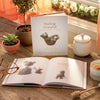 book - feeling grateful (bear plush companion) by compendium