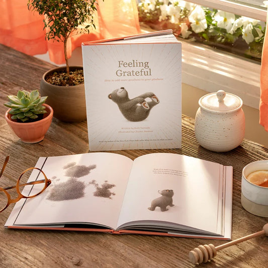 book - feeling grateful (bear plush companion) by compendium