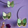 3d butterfly puzzle - set of 3 by studio roof