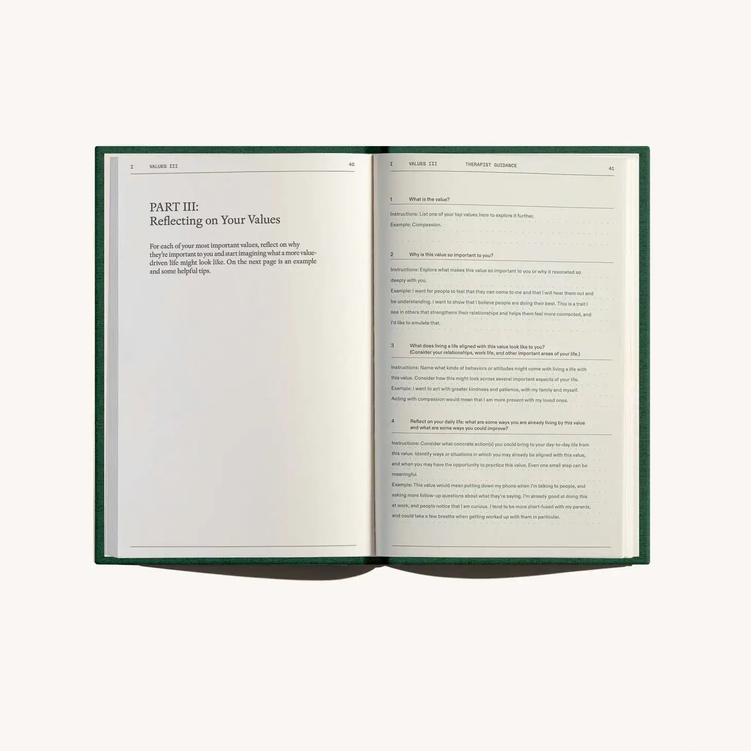 book - field guide for depression by therapy notebooks