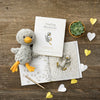 book - finding muchness ( duckling plush companion) by compendium