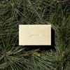 Soap Bar | Patchouli & Pine