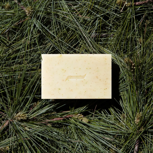 Soap Bar | Patchouli & Pine