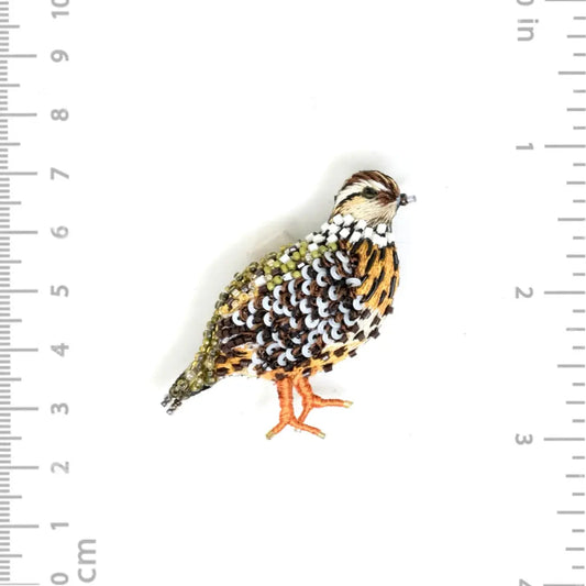 brooch pin - fool quail by trovelore