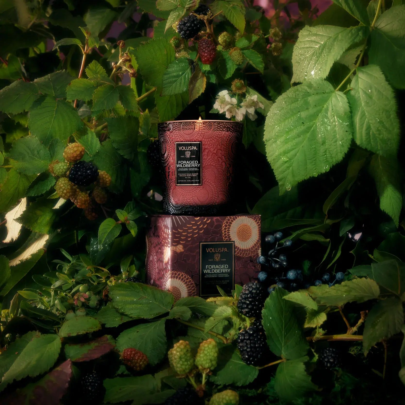 candle - foraged wildberry - classic embossed jar by voluspa