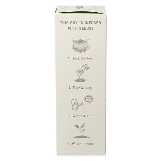 diffuser - fresh picked basil - 4oz by kobo candles