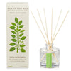 diffuser - fresh picked basil - 4oz by kobo candles