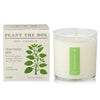 candle - fresh picked basil - 9oz by kobo candles