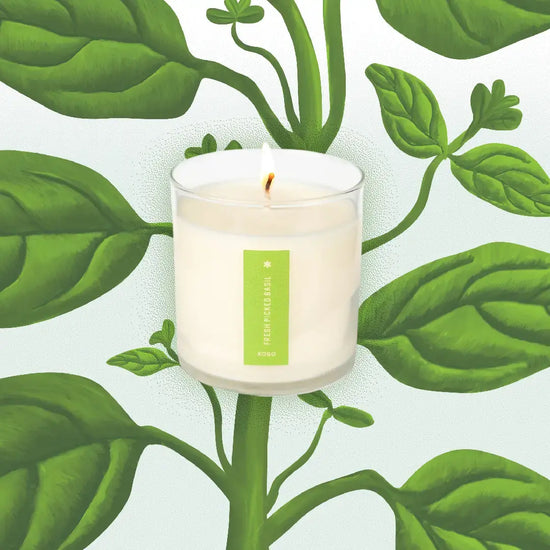 candle - fresh picked basil - 9oz by kobo candles