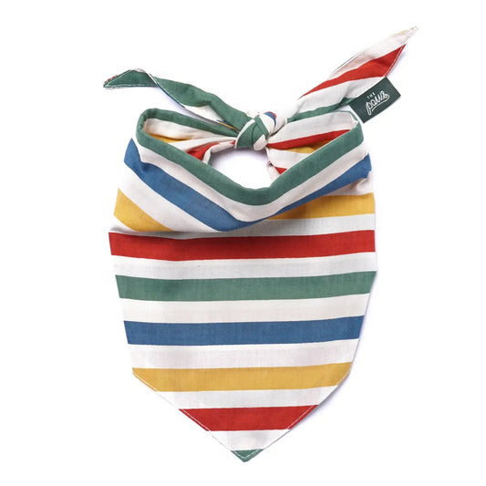 pet bandana - large - frontier by the paws