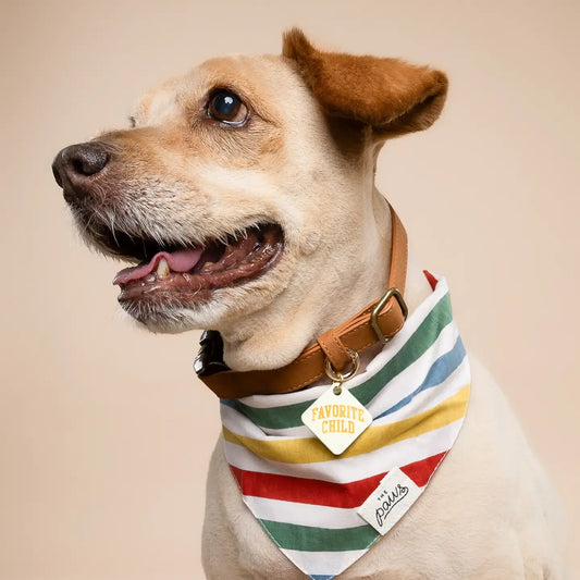 pet bandana - large - frontier by the paws