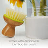 ceramic dish + brush - white/green by full circle home