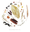 Art Print – Oklahoma Season