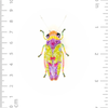 Brooch Pin | Sharpshooter Beetle