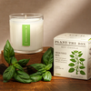Candle | Fresh Picked Basil | 9oz