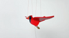Mobile | Flying | Cardinal