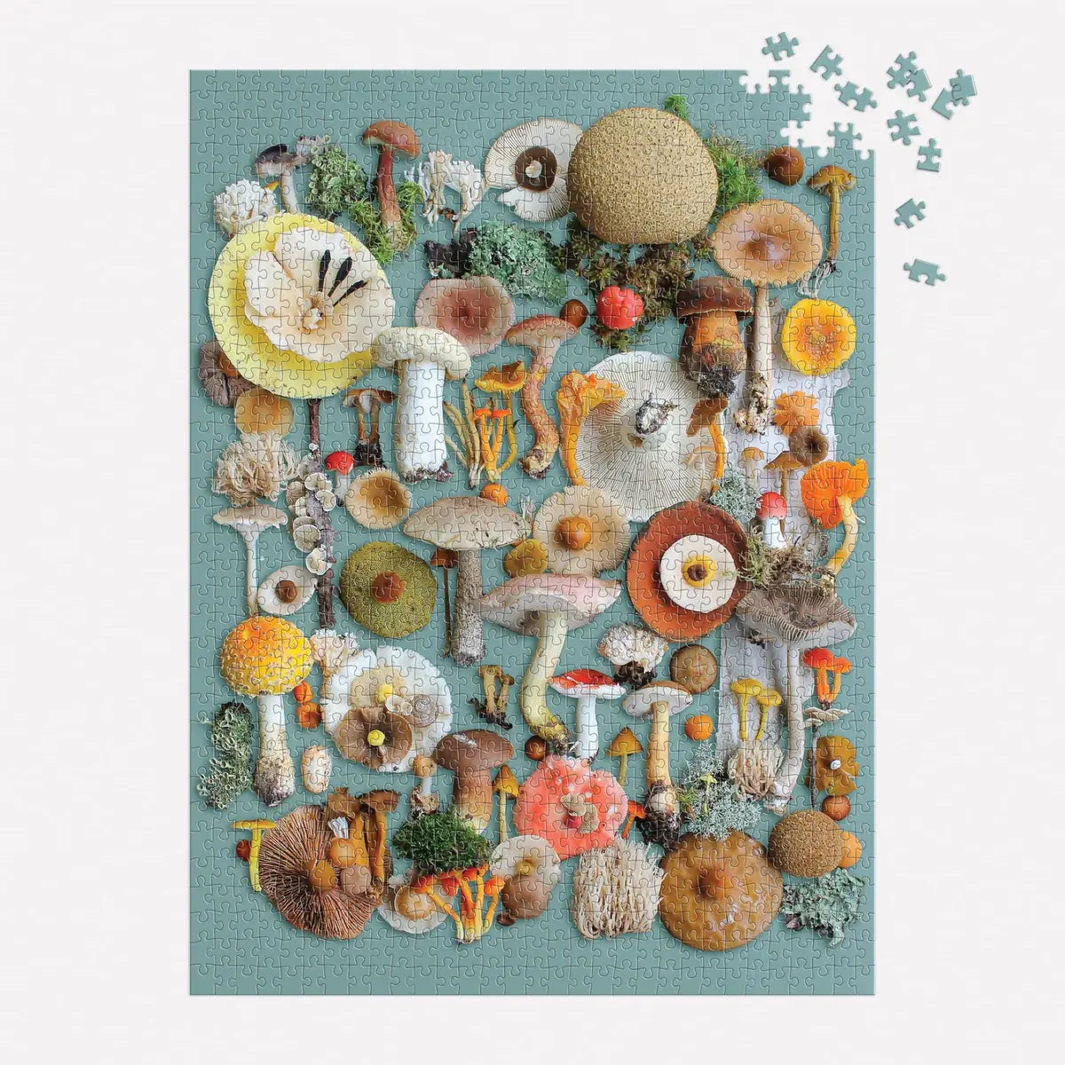 puzzle - 1000-piece - foraged by chronicle books