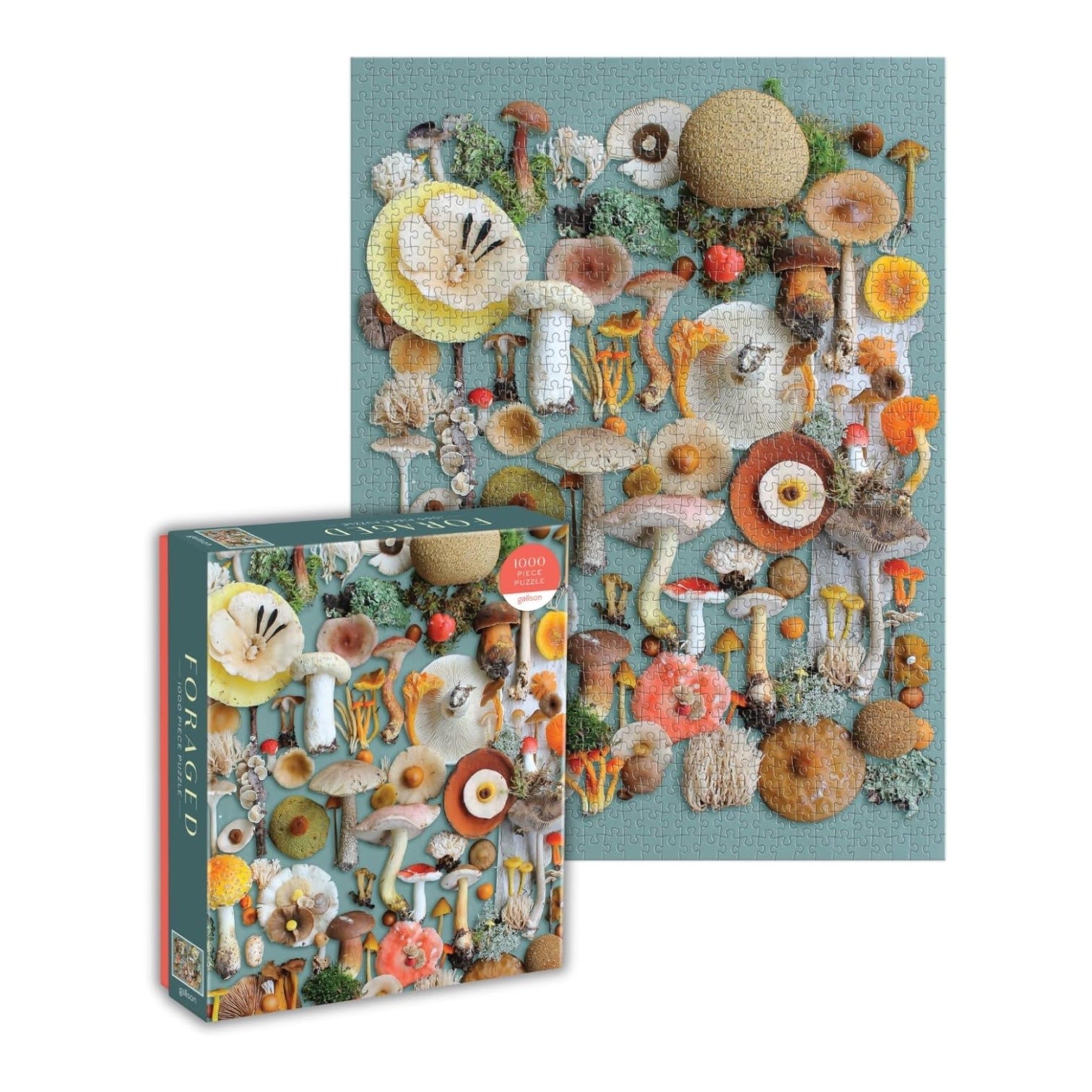 puzzle - 1000-piece - foraged by chronicle books